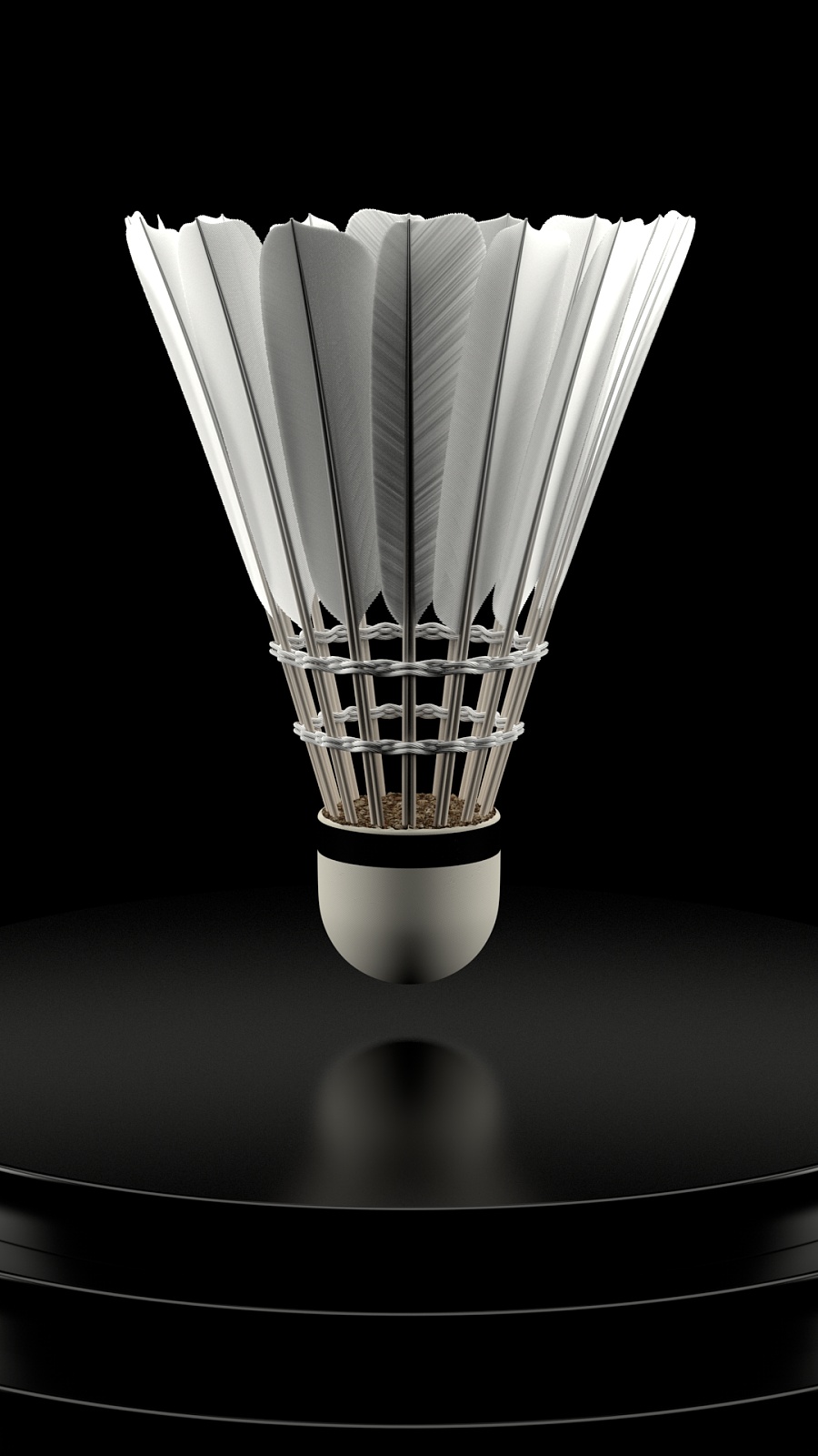 样化体育项 样化体育项