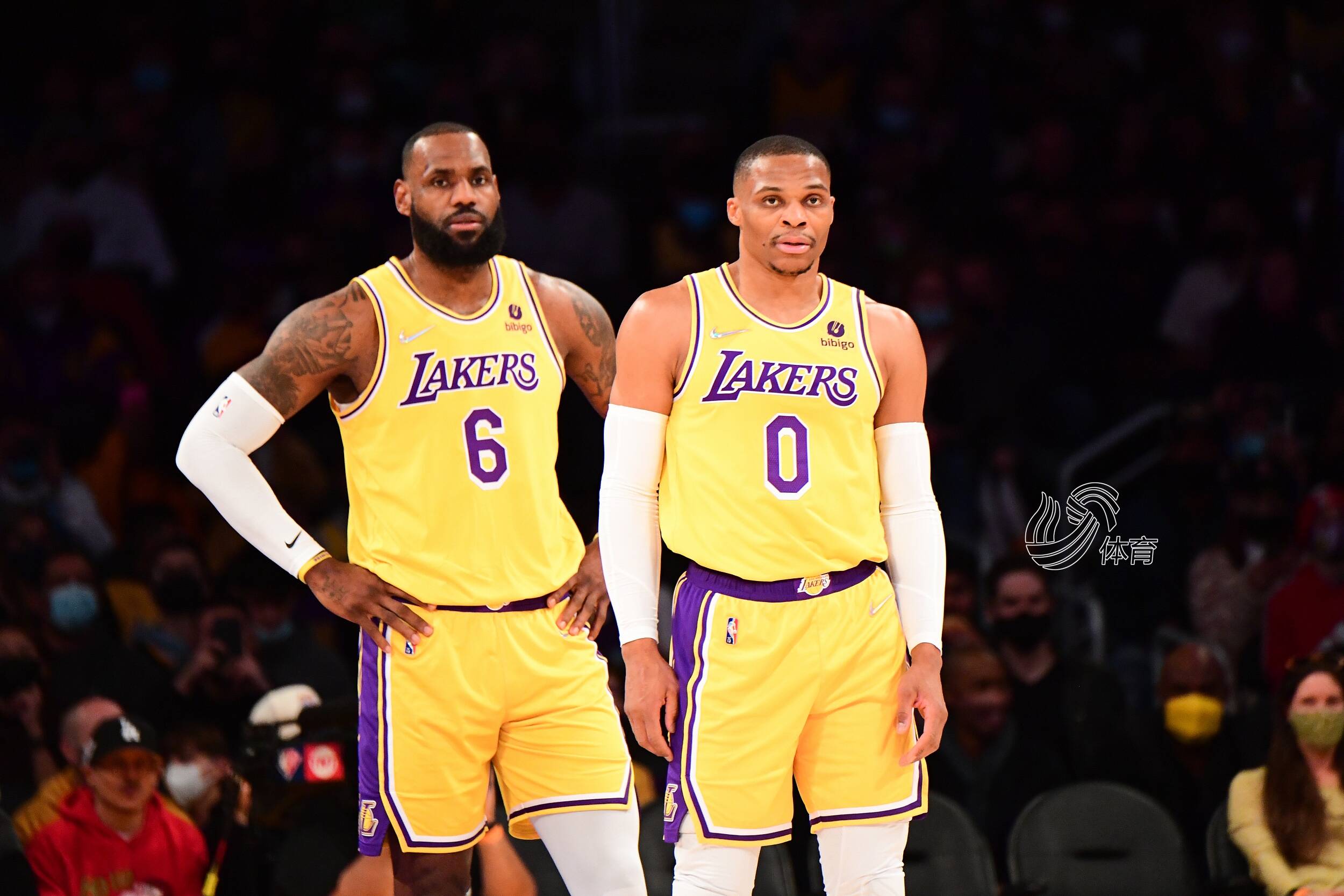 补强的俱乐 补强的俱乐